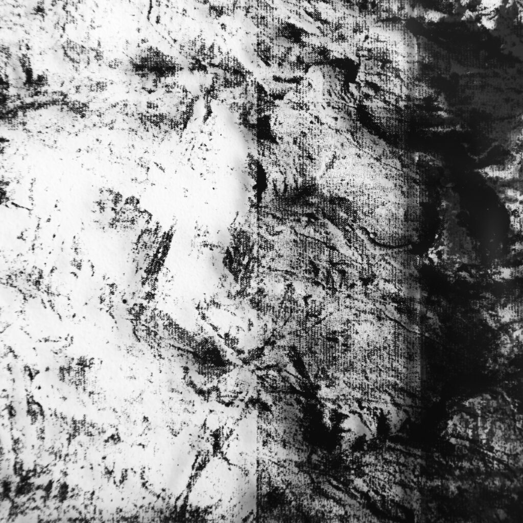 Margot Genevelle