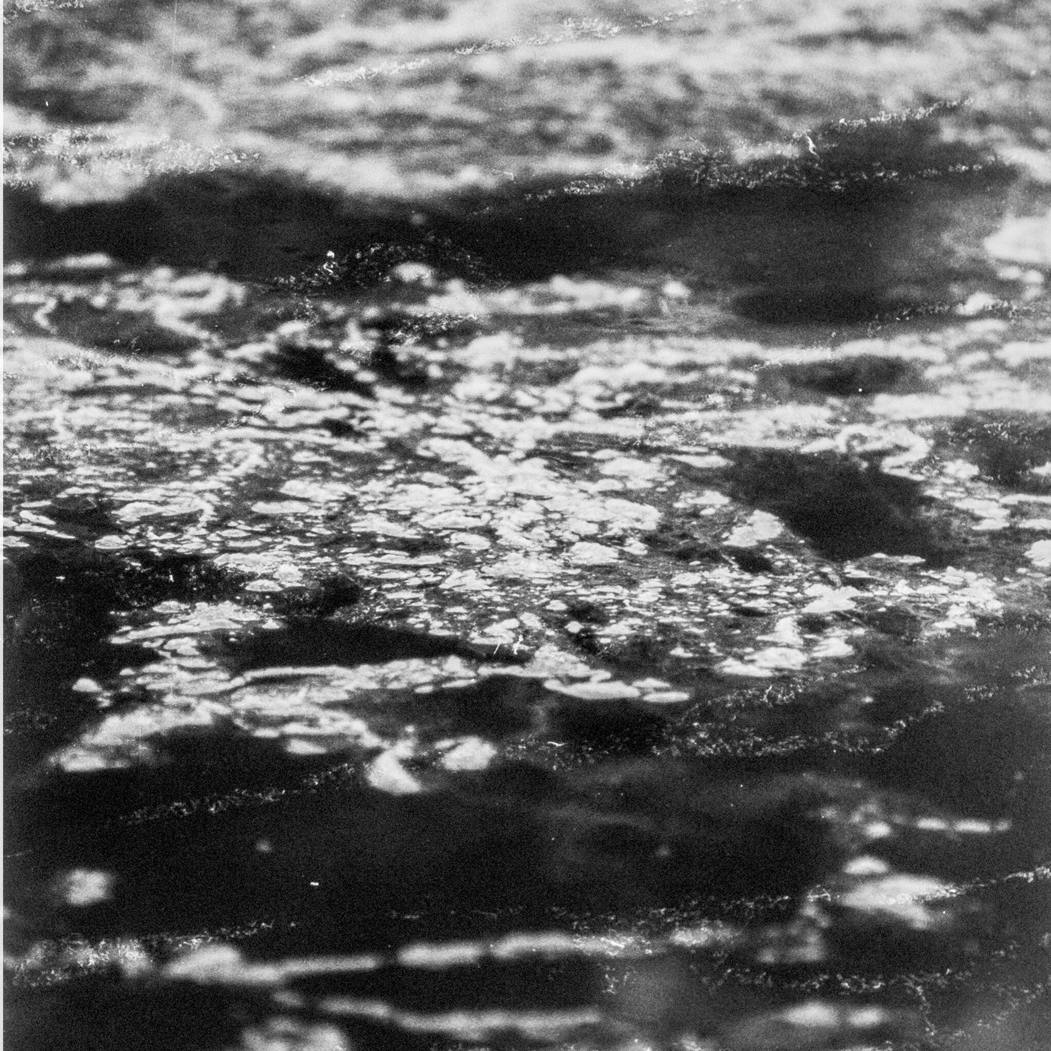 Margot Genevelle