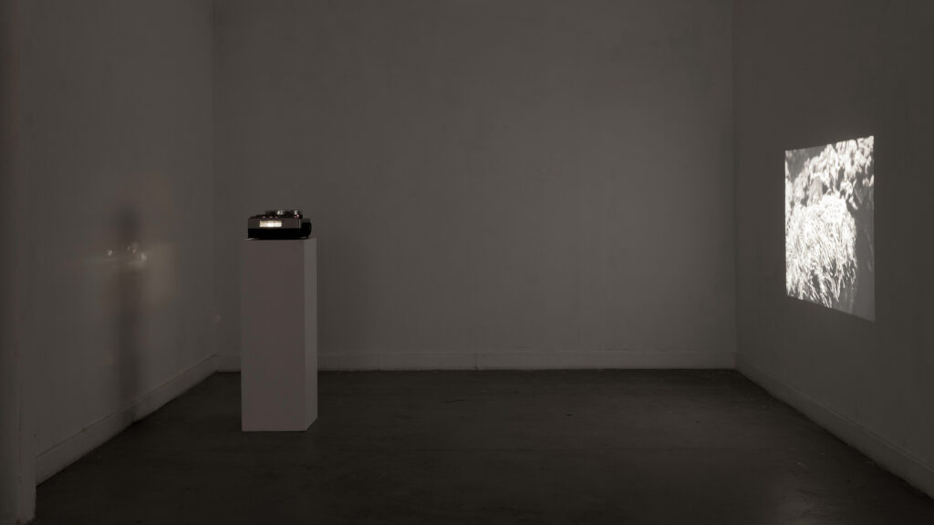 Margot Genevelle
