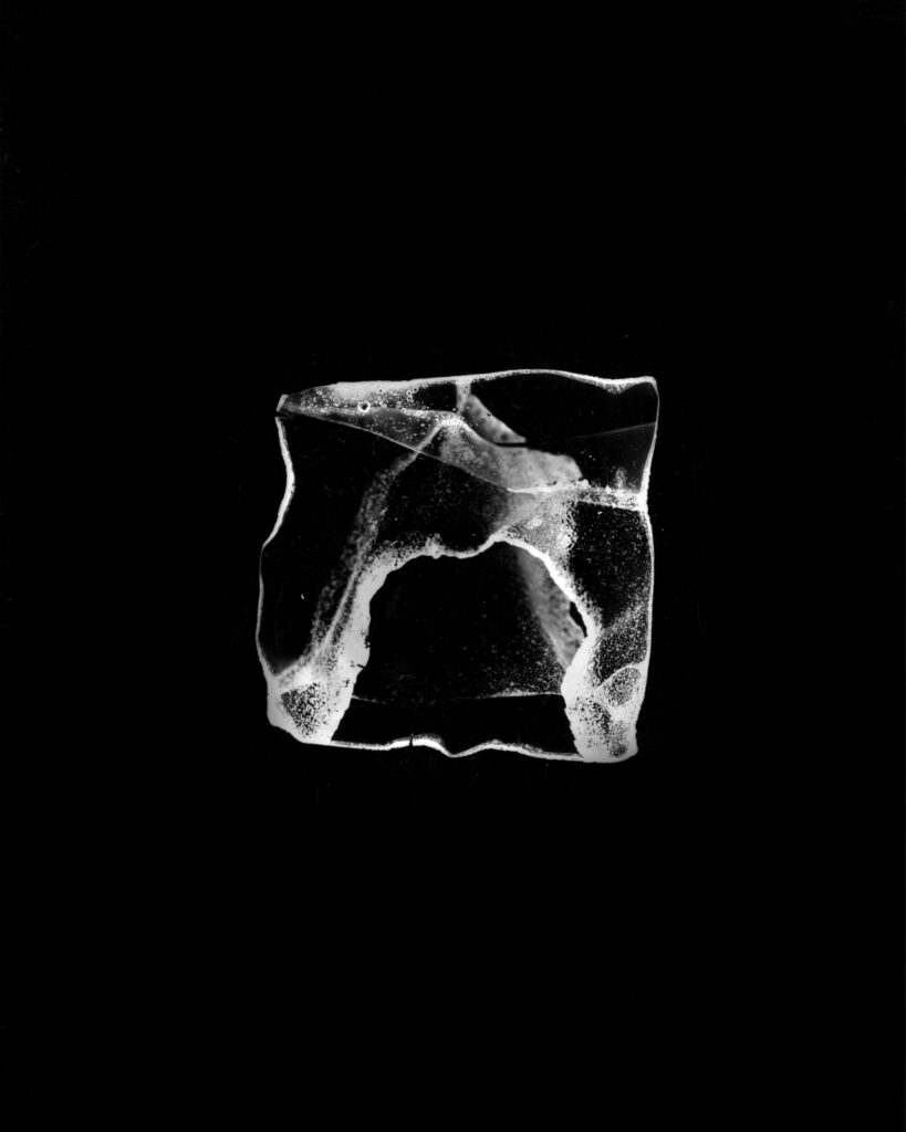 Margot Genevelle