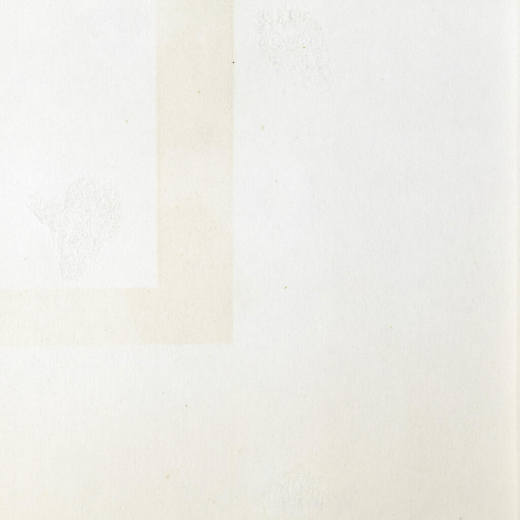 Margot Genevelle